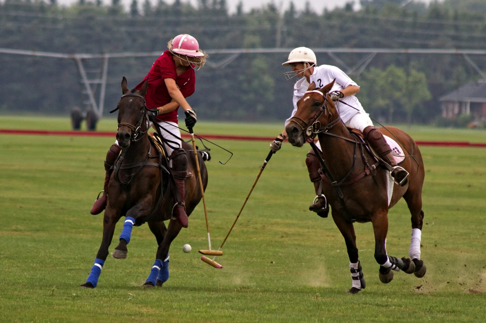 Polo players competing on a grass field