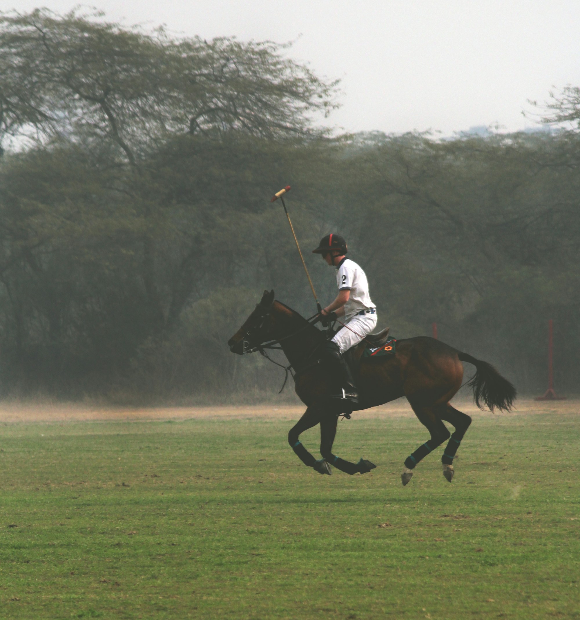 Polo player and pony on a grass field