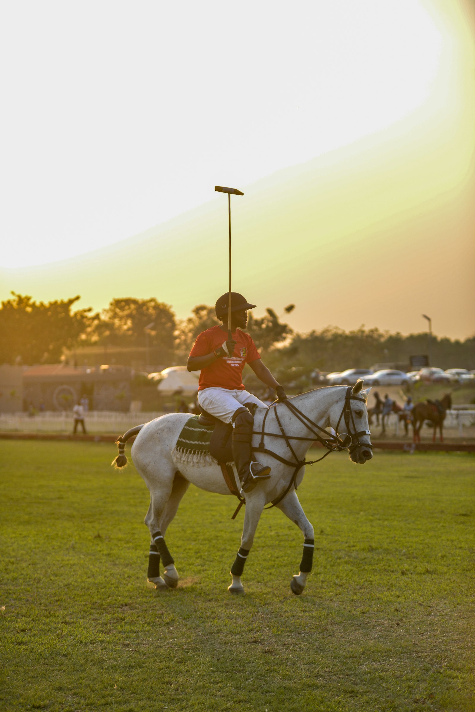 Polo player riding on a field